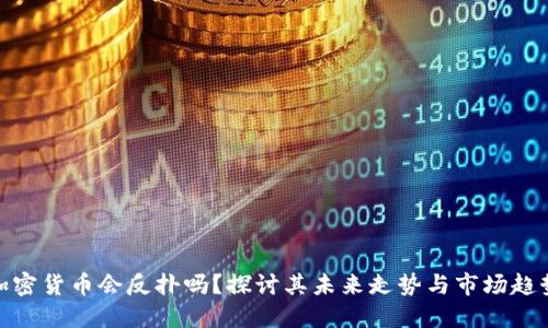 加密货币会反扑吗？探讨其未来走势与市场趋势