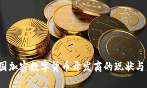  探索中国加密数字货币开发商的现状与未来趋势