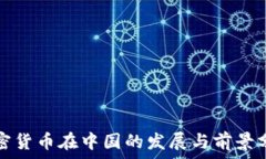  加密货币在中国的发展与前景分析