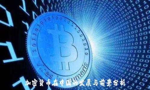  
加密货币在中国的发展与前景分析