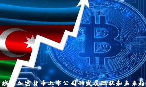 
区域链加密货币上市公司的发展现状和未来趋势