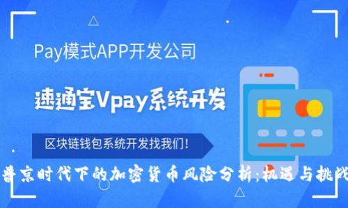 普京时代下的加密货币风险分析：机遇与挑战