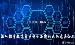 深入探索数字货币电子加密行业的龙头企业