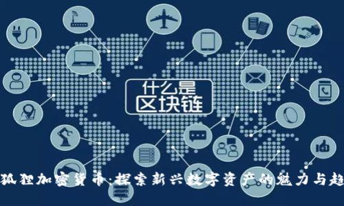 小狐狸加密货币：探索新兴数字资产的魅力与趋势