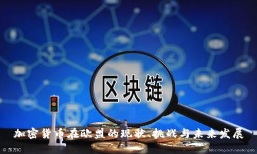 加密货币在欧盟的现状、挑战与未来发展