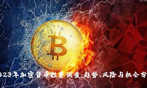 2023年加密货币投资调查：趋势、风险与机会分析