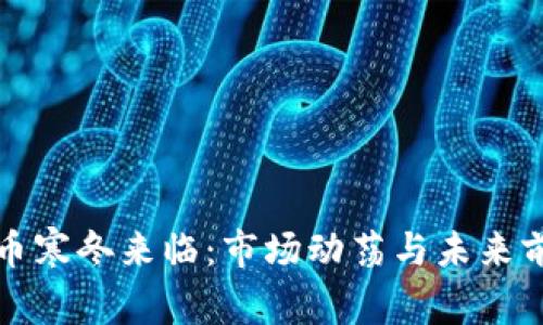 加密货币寒冬来临：市场动荡与未来前景分析