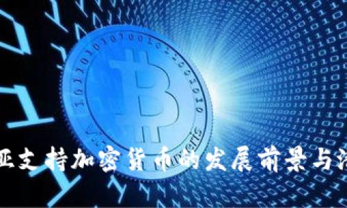 格鲁吉亚支持加密货币的发展前景与潜力分析