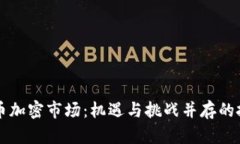 巴西货币加密市场：机遇与挑战并存的投资选择