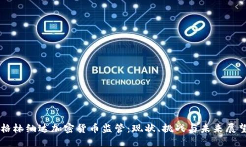 格林纳达加密货币监管：现状、挑战与未来展望
