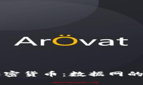 深入探讨加密货币：数据网的现状与未来