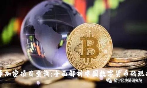 中国货币加密项目查询：全面解析中国数字货币的现状与未来