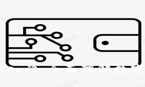 big加密货币期权入门：全面理解数字资产的多样选择