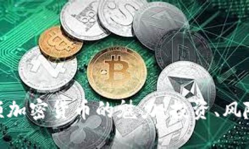 了解BTC高额加密货币的魅力：投资、风险与未来前景