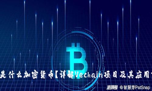 Vet是什么加密货币?详解Vechain项目及其应用前景