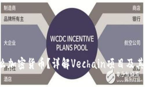 Vet是什么加密货币？详解Vechain项目及其应用前景