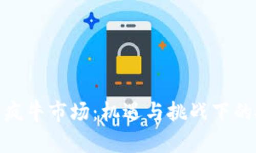 加密货币疯牛市场：机遇与挑战下的投资攻略