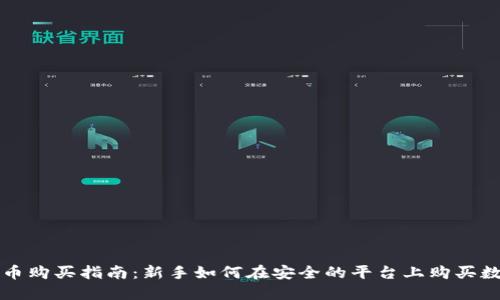 加密货币购买指南：新手如何在安全的平台上购买数字货币