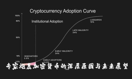 专家炮轰加密货币的深层原因与未来展望