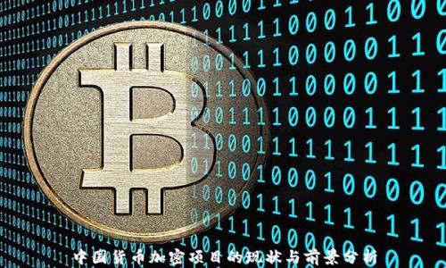 
中国货币加密项目的现状与前景分析