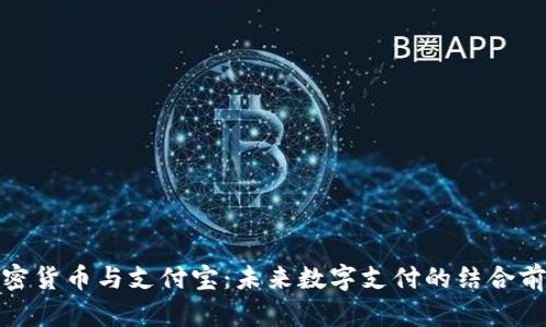 加密货币与支付宝：未来数字支付的结合前景