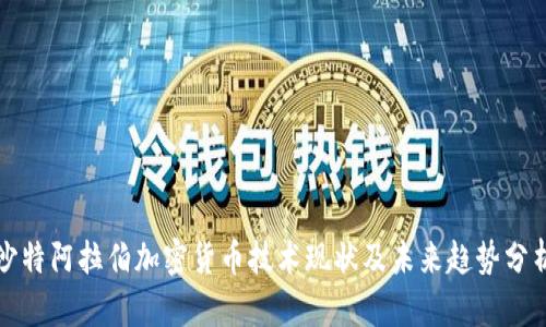 沙特阿拉伯加密货币技术现状及未来趋势分析