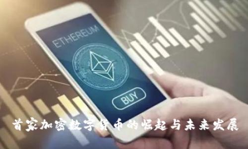 首家加密数字货币的崛起与未来发展