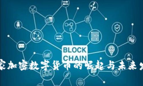 首家加密数字货币的崛起与未来发展