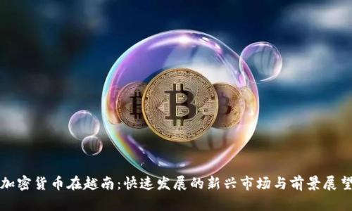加密货币在越南：快速发展的新兴市场与前景展望