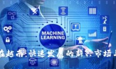 加密货币在越南：快速发展的新兴市场与前景展