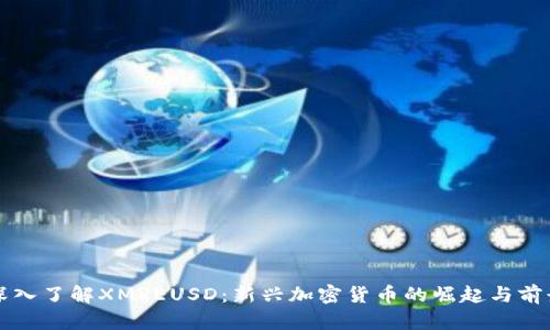 深入了解XMREUSD：新兴加密货币的崛起与前景