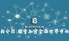 加密货币机构介绍：探索加密金融世界中的主要