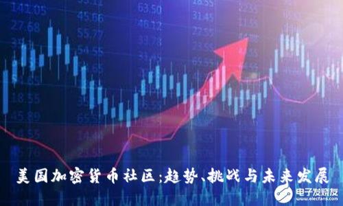 美国加密货币社区：趋势、挑战与未来发展