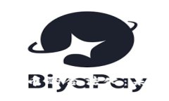 虚拟货币与加密货币的合法化：未来的可能性与