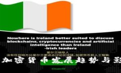 自贸港加密货币发展趋势与影响分析