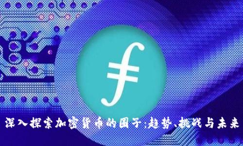 深入探索加密货币的圈子：趋势、挑战与未来