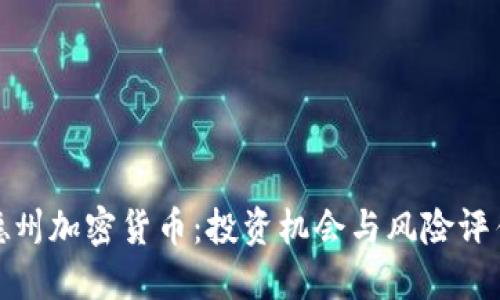 德州加密货币：投资机会与风险评估