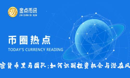 加密货币黑马团队：如何识别投资机会与潜在风险