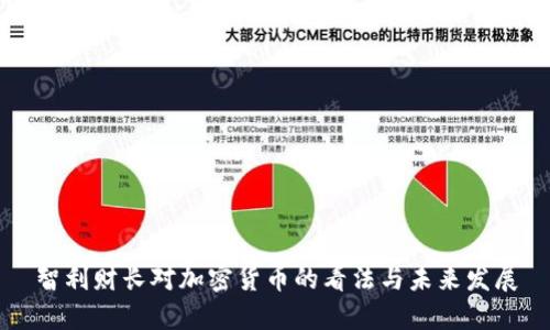 智利财长对加密货币的看法与未来发展