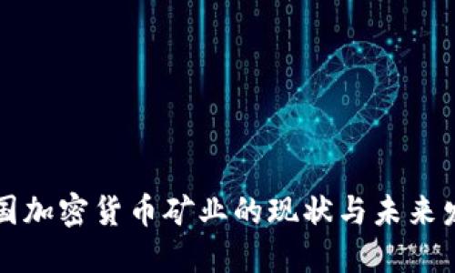 美国加密货币矿业的现状与未来发展