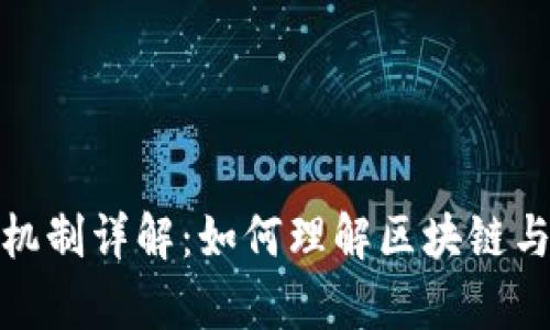 加密货币的工作机制详解：如何理解区块链与共识算法的运作