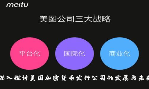 深入探讨美国加密货币发行公司的发展与未来