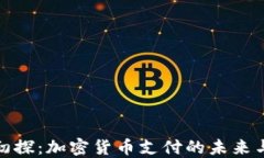 Visa初探：加密货币支付的未来与挑战