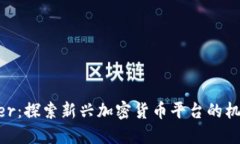 BitFunder：探索新兴加密货币平台的机遇与挑战