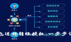 如何使用TP钱包进行转账授权：一步步详解及注意