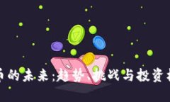 加密货币的未来：趋势、挑战与投资机遇详解