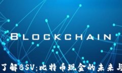 深入了解BSV：比特币现金的未来与潜力