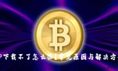 TP下载不了怎么办？常见原因与解决方案