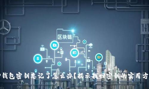 TP钱包密钥忘记了怎么办？揭示找回密钥的实用方法