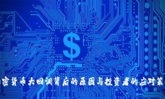 加密货币大回调背后的原因与投资者的应对策略